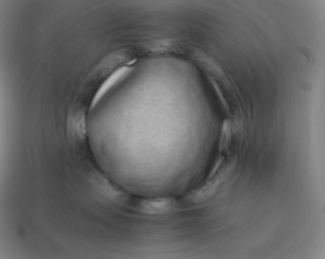 X0000113910479200910081854