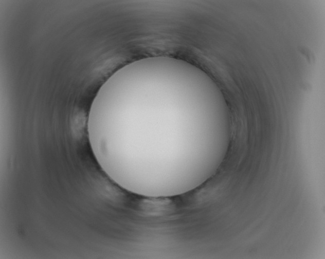 X0000113910480200910081854