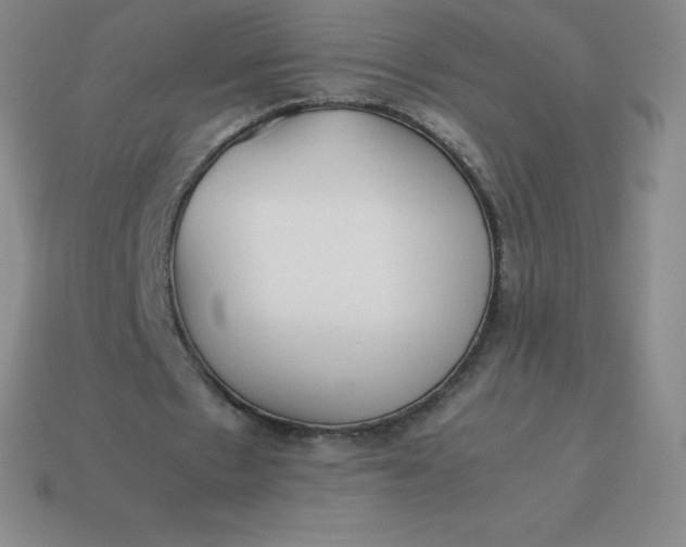 X0000113910481200910081853