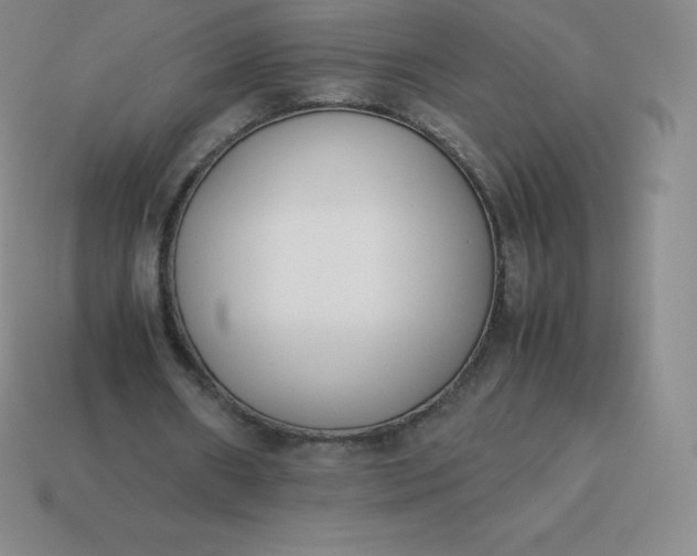 X0000113910482200910081853