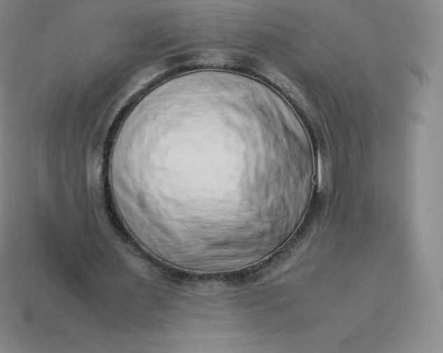 X0000113910483200910081853