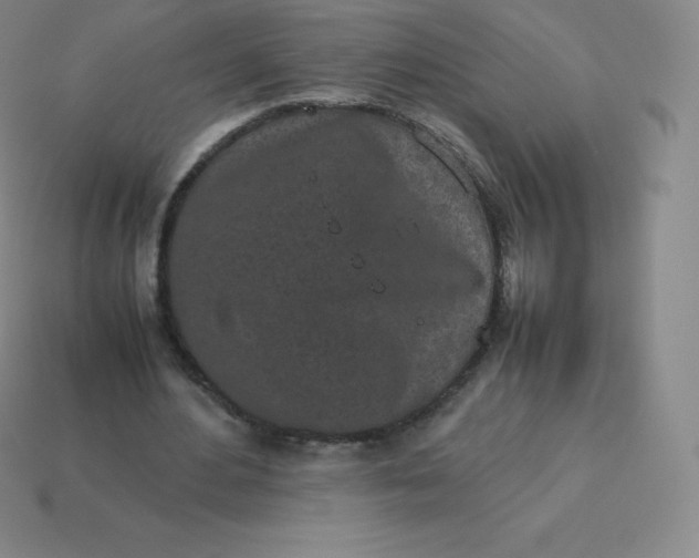 X0000113910484200910081853