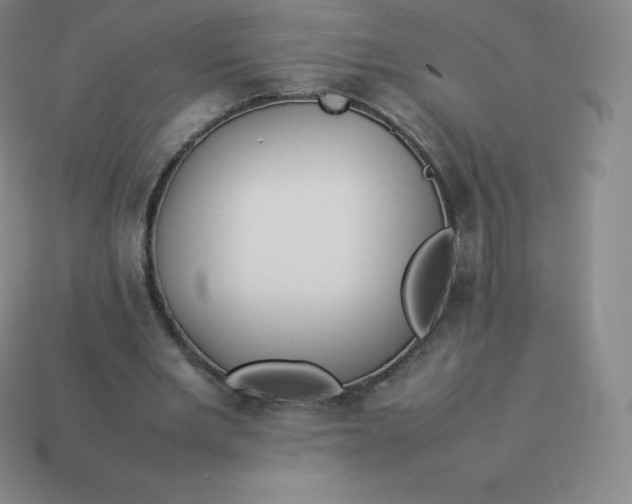 X0000113910485200910081853