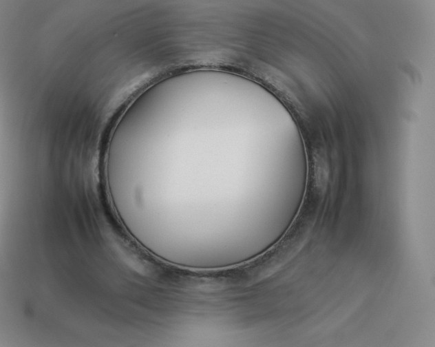 X0000113910486200910081853