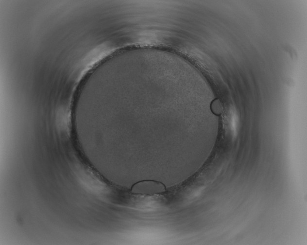 X0000113910488200910081853