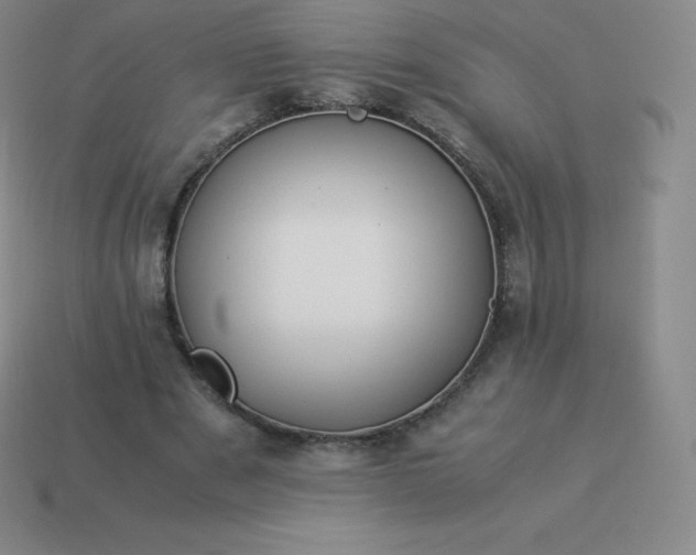 X0000113910489200910081853