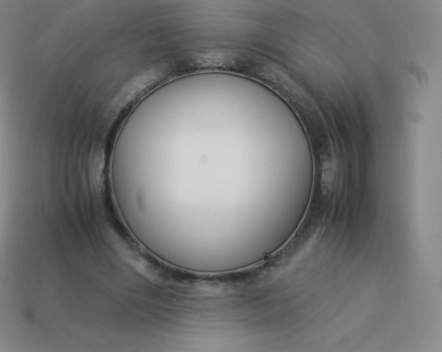 X0000113910490200910081853