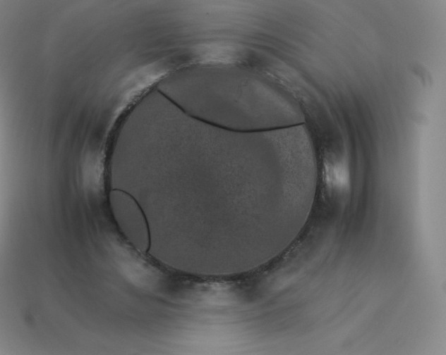 X0000113910492200910081853