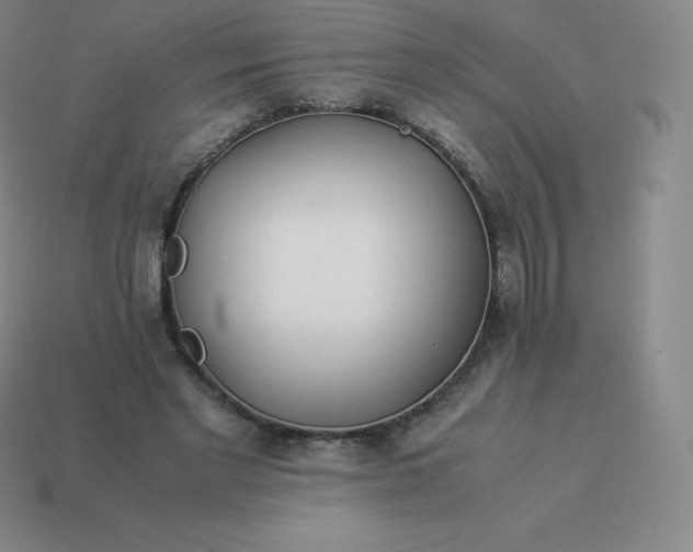 X0000113910493200910081853