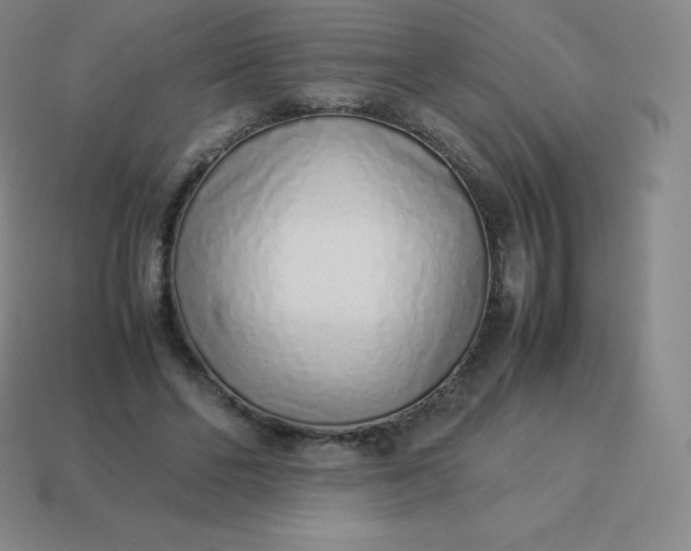 X0000113910494200910081853