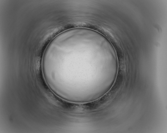 X0000113910495200910081853