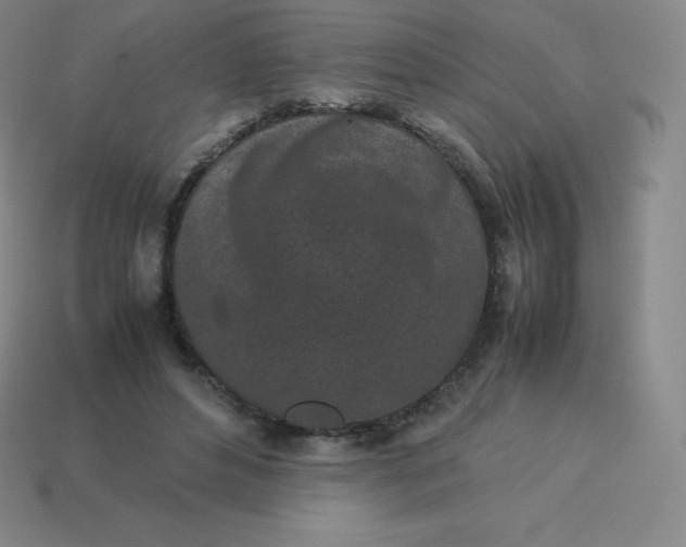 X0000113910496200910081853