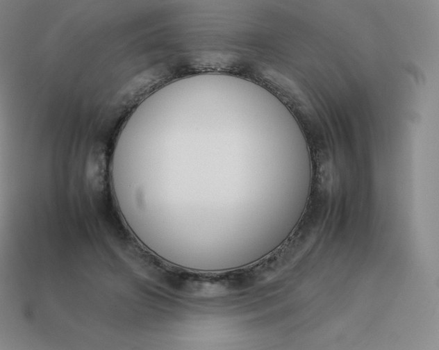 X0000113910498200910081853