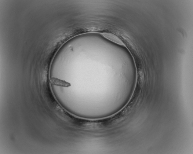 X0000113910499200910081853