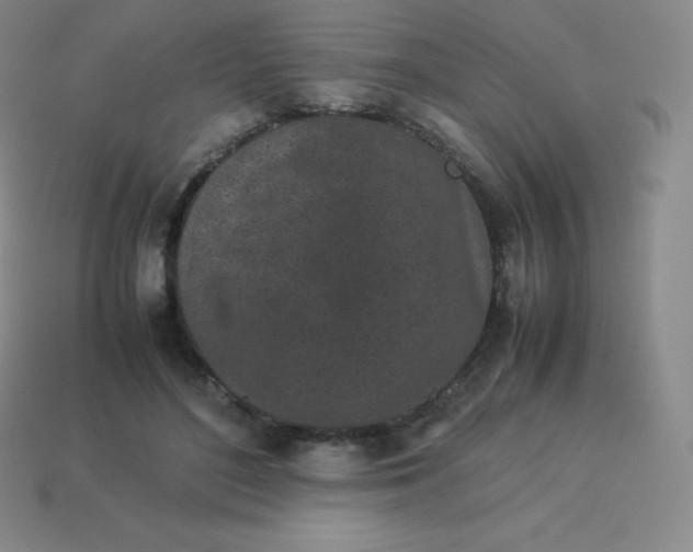 X0000113910500200910081853