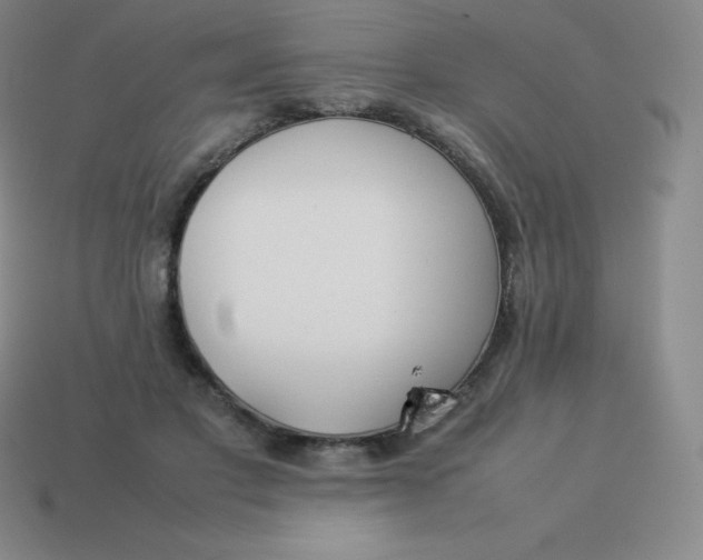 X0000113910501200910081853