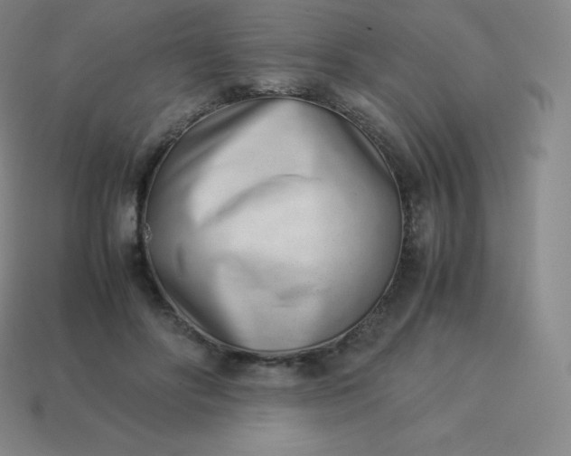 X0000113910502200910081853