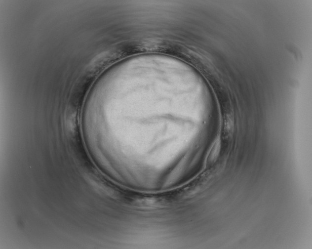 X0000113910503200910081853