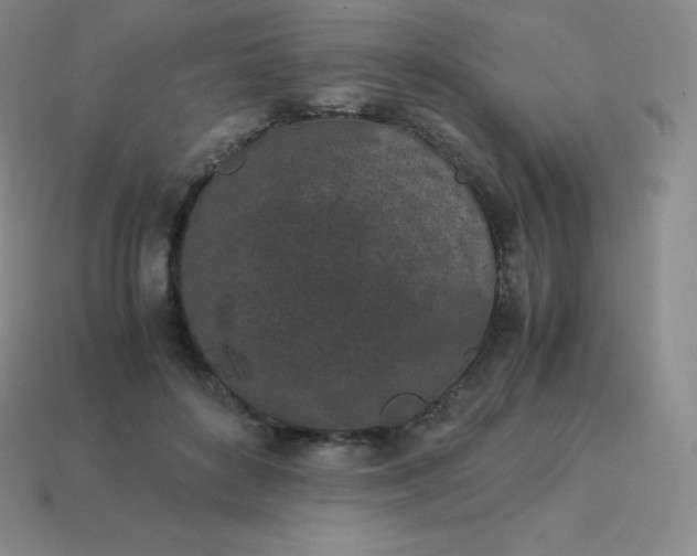 X0000113910504200910081853