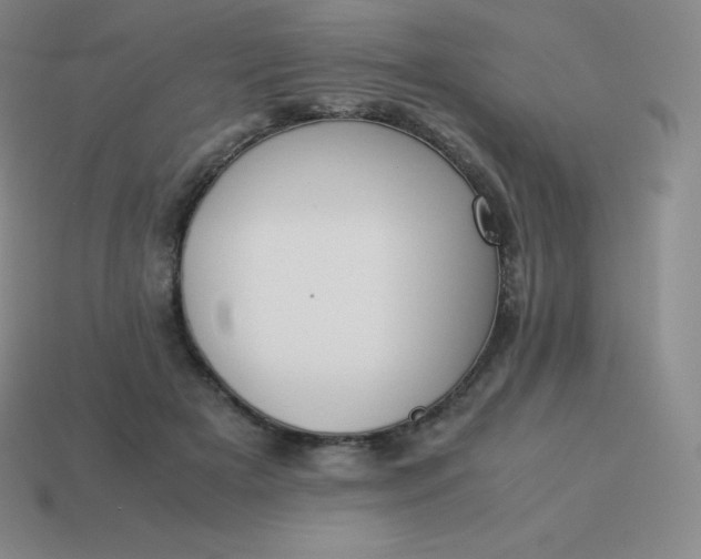 X0000113910505200910081853