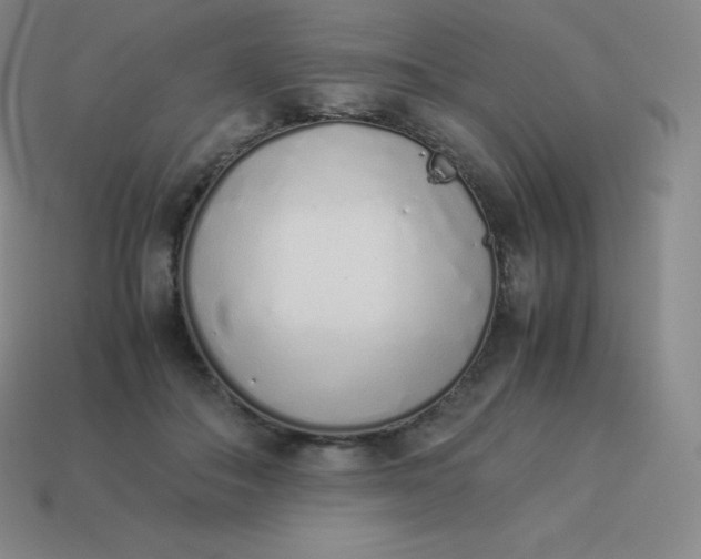 X0000113910506200910081853