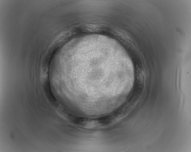 X0000113910507200910081853