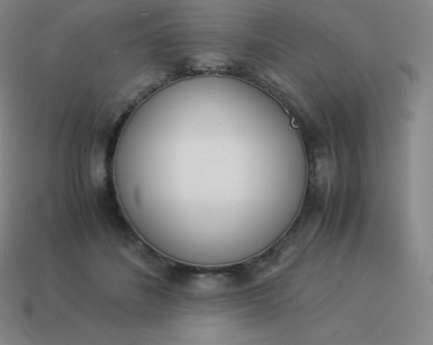 X0000113910508200910081853