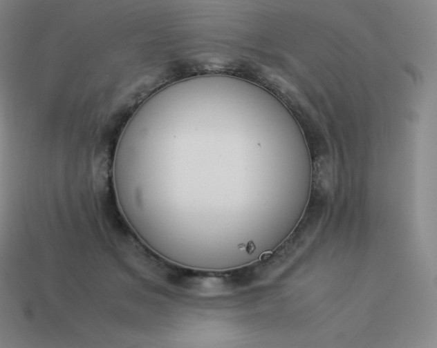 X0000113910509200910081853