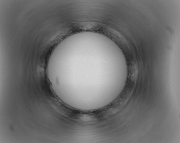 X0000113910510200910081853