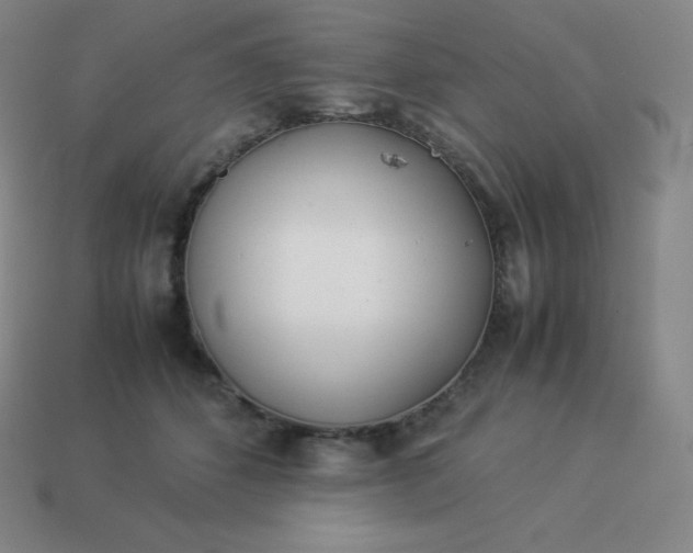 X0000113910512200910081852