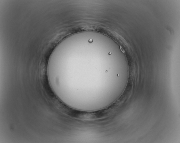 X0000113910513200910081852