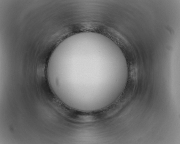 X0000113910514200910081852