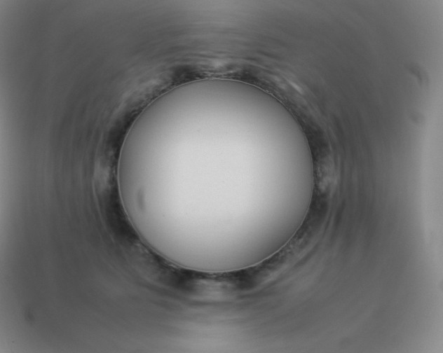 X0000113910515200910081852