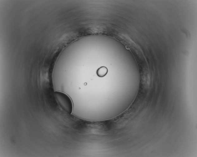 X0000113910516200910081852