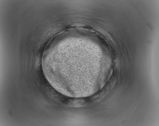 X0000113910517200910081852