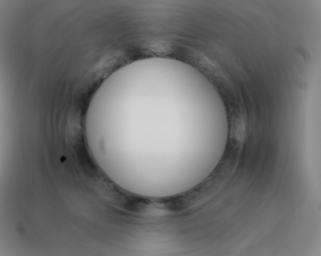 X0000113910518200910081852