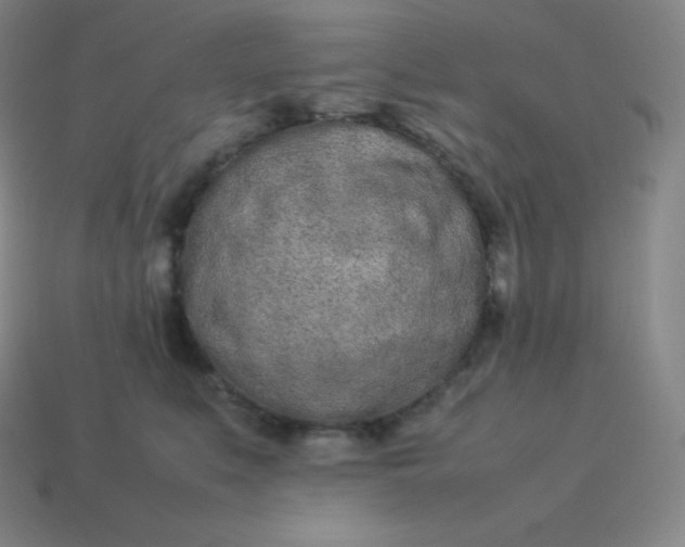 X0000113910519200910081852