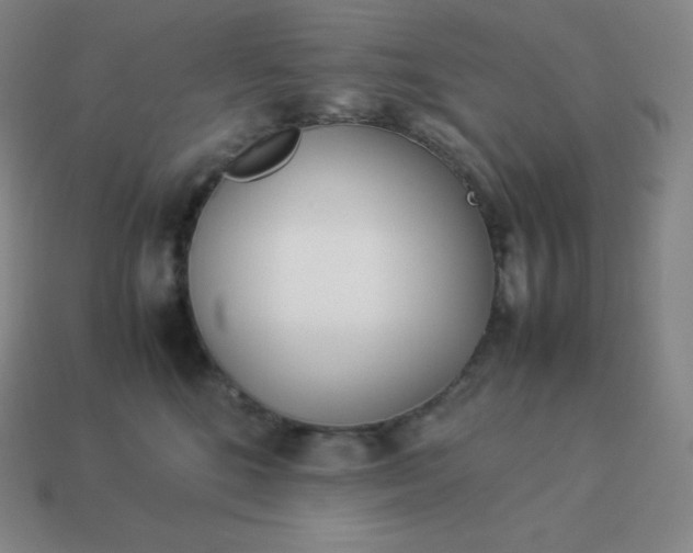 X0000113910520200910081852