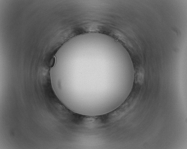 X0000113910521200910081852