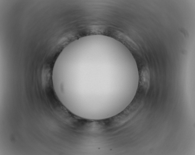 X0000113910522200910081852