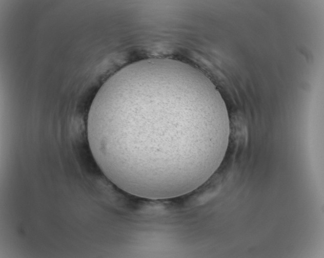 X0000113910523200910081852