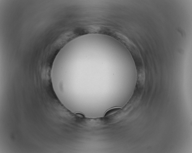 X0000113910525200910081852