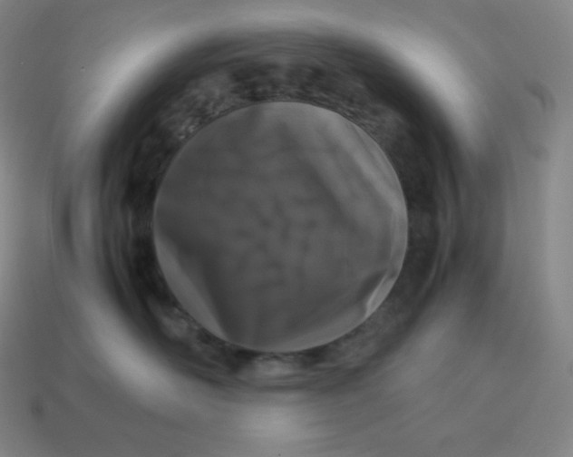 X0000113910526200910081852