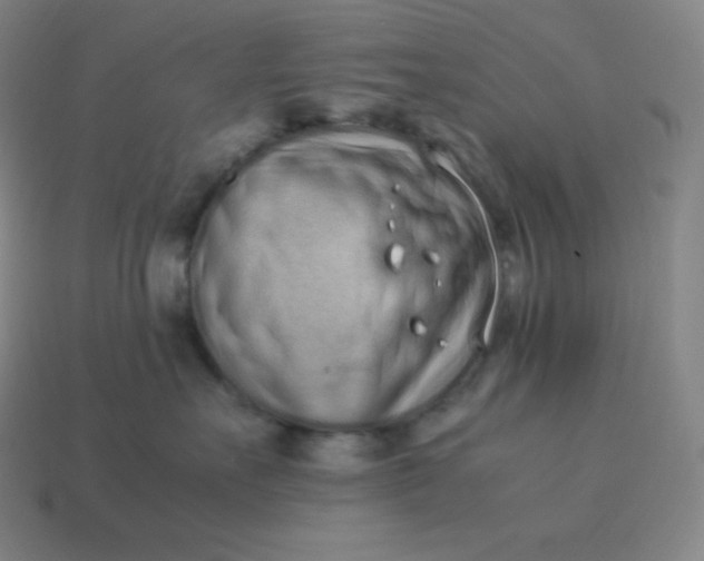 X0000113910527200910081852