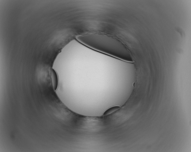 X0000113910528200910081852