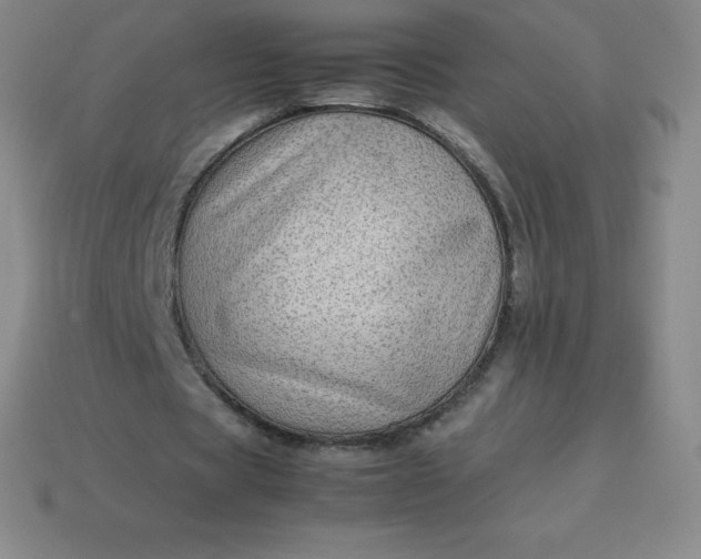 X0000113910529200910081852