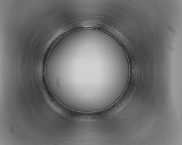 X0000113910530200910081852