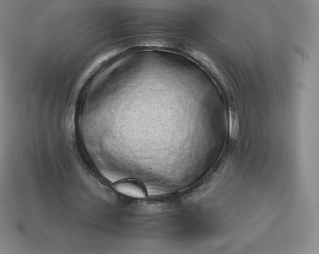 X0000113910531200910081852