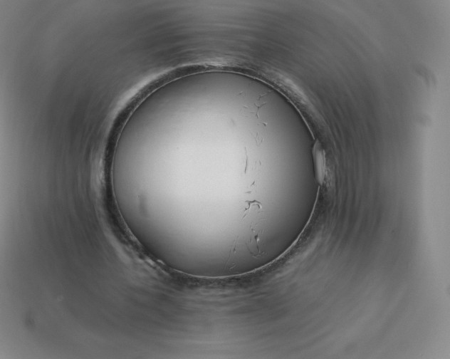 X0000113910532200910081852