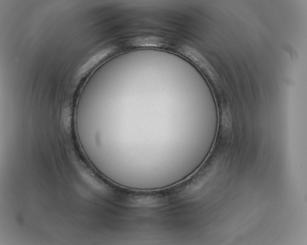 X0000113910533200910081852